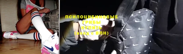 mdpv Кодинск