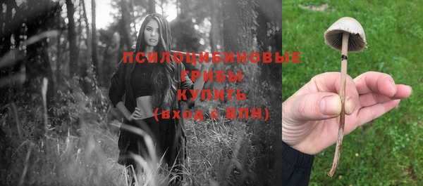 мескалин Корсаков