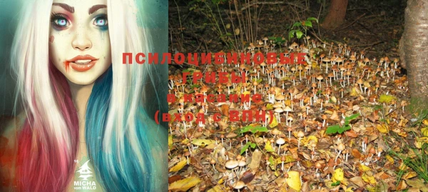 кокс Киренск